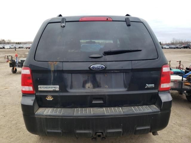 2011 Ford Escape XLT