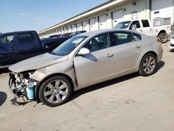 Salvage cars for sale at Louisville, KY auction: 2012 Buick Regal