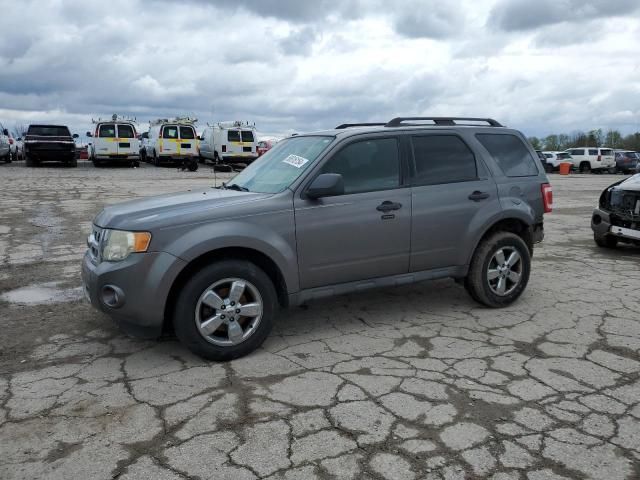 2009 Ford Escape XLT