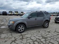 Salvage cars for sale from Copart Indianapolis, IN: 2009 Ford Escape XLT