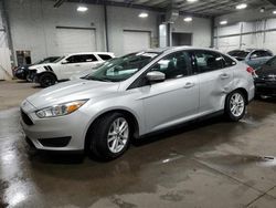 Salvage cars for sale at Ham Lake, MN auction: 2016 Ford Focus SE