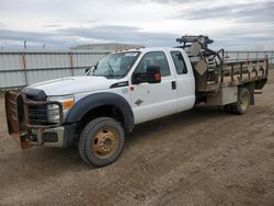 Salvage trucks for sale at Bismarck, ND auction: 2016 Ford F550 Super Duty