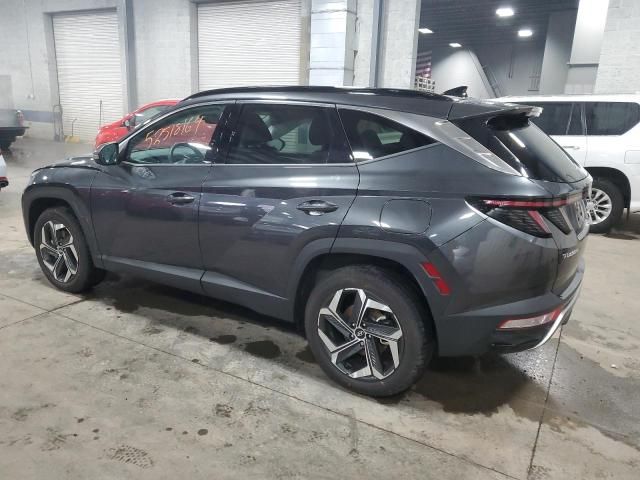 2024 Hyundai Tucson Limited