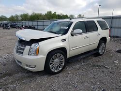Salvage cars for sale from Copart Lawrenceburg, KY: 2013 Cadillac Escalade Platinum