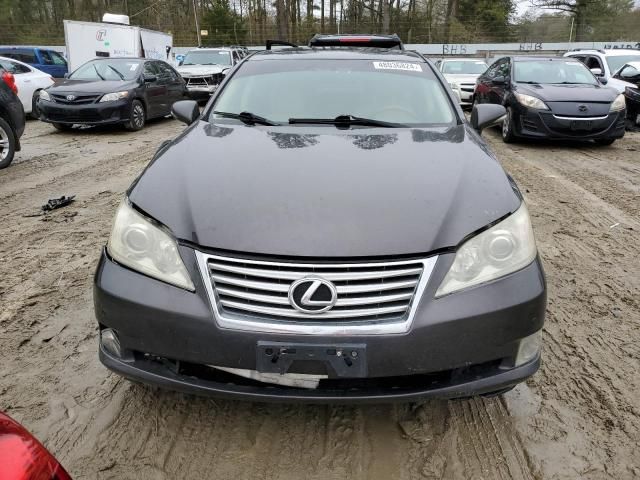 2010 Lexus ES 350