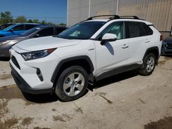 Toyota rav4 xle salvage cars for sale: 2021 Toyota Rav4 XLE