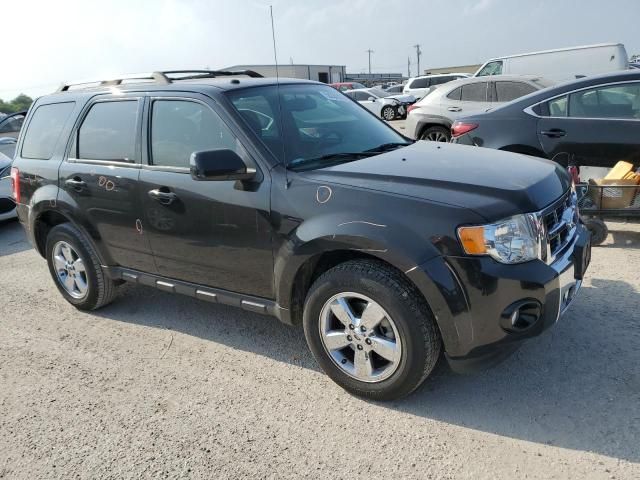 2011 Ford Escape Limited