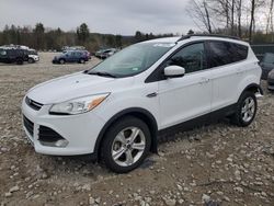 Vehiculos salvage en venta de Copart Candia, NH: 2014 Ford Escape SE