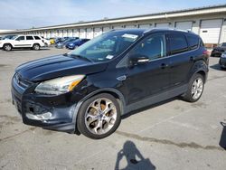 Ford Escape Vehiculos salvage en venta: 2016 Ford Escape Titanium