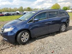 Salvage cars for sale at Hillsborough, NJ auction: 2015 Honda Odyssey EXL