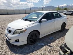 Toyota salvage cars for sale: 2009 Toyota Corolla Base