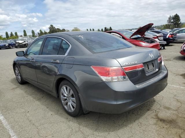 2011 Honda Accord EX