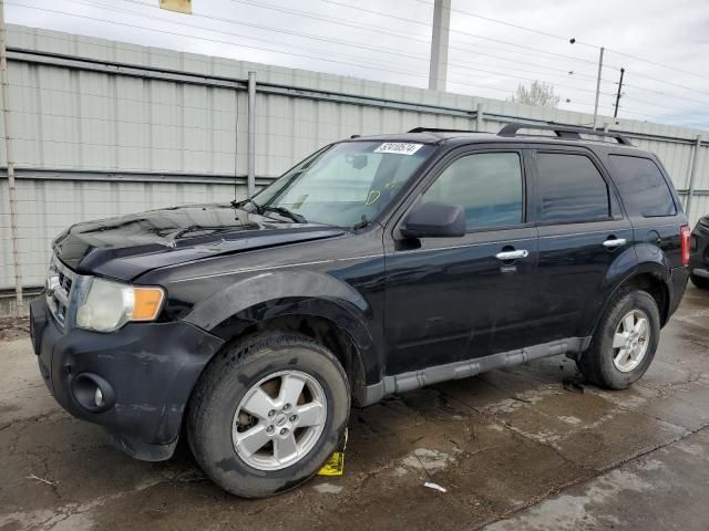 2010 Ford Escape XLT