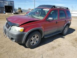 Ford Escape XLT salvage cars for sale: 2005 Ford Escape XLT