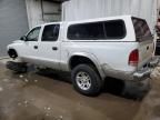 2004 Dodge Dakota Quad SLT