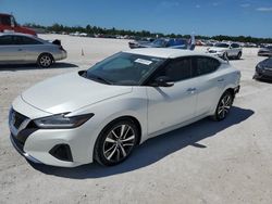 Salvage cars for sale at Arcadia, FL auction: 2019 Nissan Maxima S