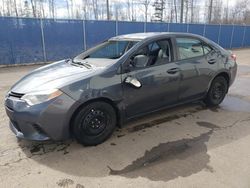 Salvage cars for sale from Copart Moncton, NB: 2014 Toyota Corolla L