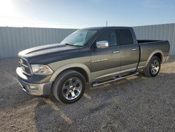 Salvage cars for sale from Copart Arcadia, FL: 2011 Dodge RAM 1500