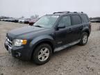 2008 Ford Escape HEV