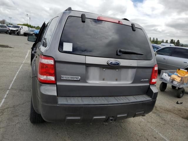 2009 Ford Escape XLT