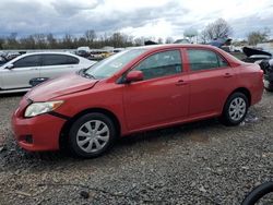 Salvage cars for sale at Hillsborough, NJ auction: 2009 Toyota Corolla Base