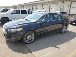 Vehiculos salvage en venta de Copart Louisville, KY: 2016 Ford Fusion SE