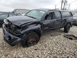 Toyota Tacoma salvage cars for sale: 2007 Toyota Tacoma Access Cab