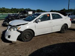 Salvage cars for sale at Apopka, FL auction: 2010 Toyota Corolla Base