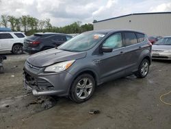 Ford Vehiculos salvage en venta: 2013 Ford Escape SE