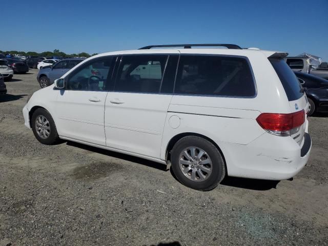 2010 Honda Odyssey EXL