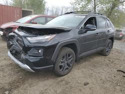 Salvage cars for sale from Copart Baltimore, MD: 2024 Toyota Rav4 Adventure