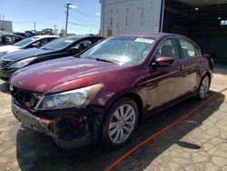 Salvage cars for sale at Chicago Heights, IL auction: 2011 Honda Accord EXL