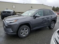 Toyota rav4 xle salvage cars for sale: 2022 Toyota Rav4 XLE