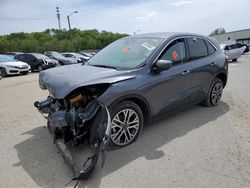Buy Salvage Cars For Sale now at auction: 2022 Ford Escape SEL
