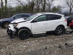 Toyota Rav4 LE salvage cars for sale: 2016 Toyota Rav4 LE