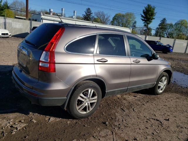 2010 Honda CR-V EXL