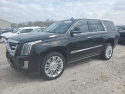 Cadillac Escalade salvage cars for sale: 2016 Cadillac Escalade Platinum