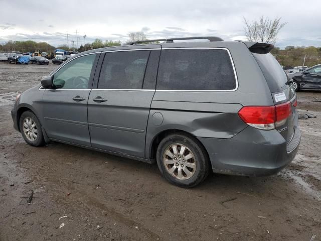 2008 Honda Odyssey EXL