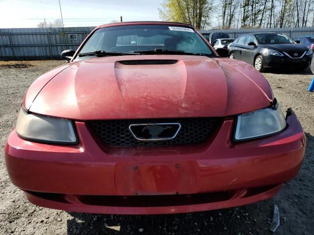 1999 Ford Mustang GT