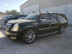 Salvage cars for sale at Apopka, FL auction: 2009 Cadillac Escalade ESV Luxury