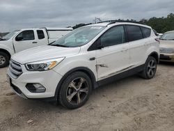 Salvage cars for sale at Greenwell Springs, LA auction: 2017 Ford Escape SE