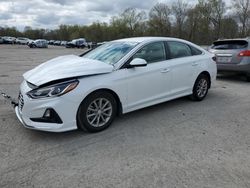 Vehiculos salvage en venta de Copart Ellwood City, PA: 2019 Hyundai Sonata SE