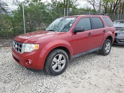 Vehiculos salvage en venta de Copart Cicero, IN: 2011 Ford Escape XLT