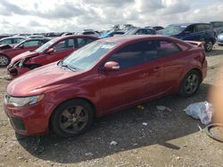 KIA Forte salvage cars for sale: 2010 KIA Forte EX