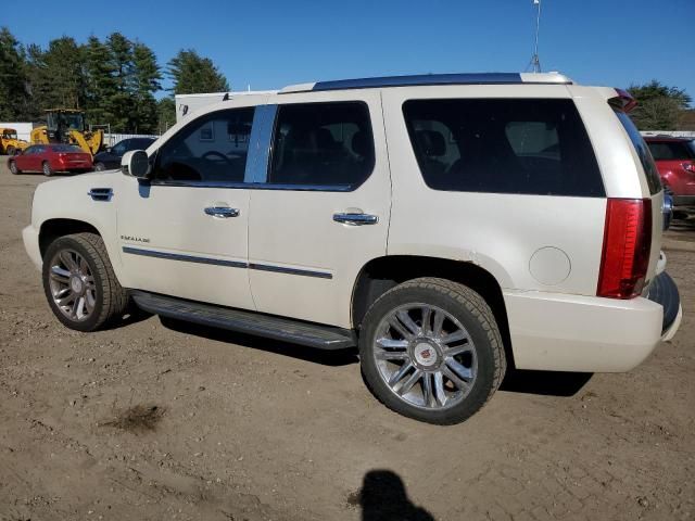 2010 Cadillac Escalade Luxury