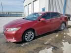 2013 Lexus ES 300H