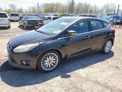 Ford Focus salvage cars for sale: 2013 Ford Focus Titanium