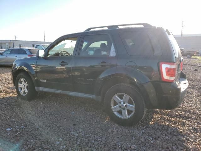 2008 Ford Escape HEV