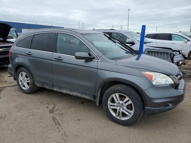 2010 Honda CR-V EXL