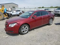 Chevrolet Malibu 1LT Vehiculos salvage en venta: 2011 Chevrolet Malibu 1LT